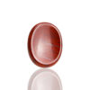 Red Jasper Palm Stone Palm-Stone by Stone Blessings