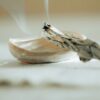 Smudging Kit – White Sage, Palo Santo, Salt & Shell (2) White Sage, Palo Santo, Crystal Chips & Shell