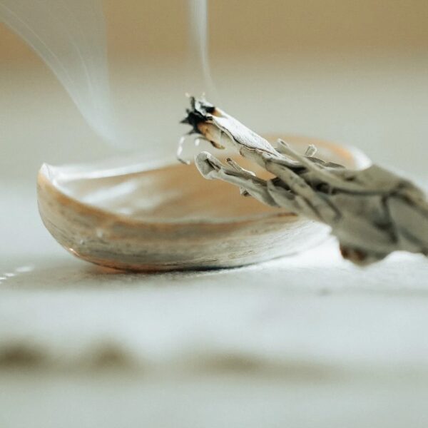 Smudging Kit – White Sage, Palo Santo, Salt & Shell (2) White Sage, Palo Santo, Crystal Chips & Shell