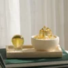 Citrine Cluster and Sphere Set on Travertine Tray styled on dark green books