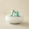 stone-blessings-two-clear-quartz-towers-and-a-green-fluorite-tower-on-a-bed-of-clear-quartz-chips-in-an-afghan-jade-bowl-front-view Fluorite Vessel with Three Points